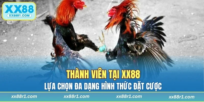 Đa dạng hình thức đặt cược