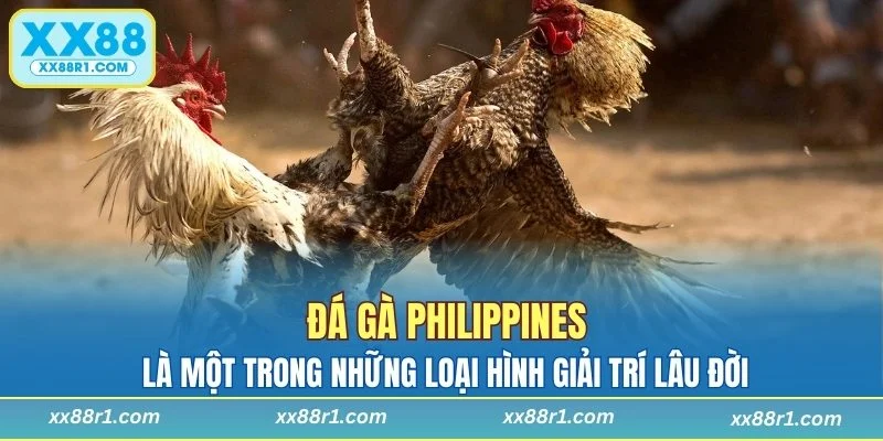Đá gà Philippines là hình giải trí lâu đời