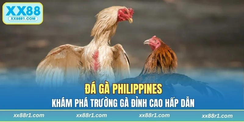 Đá gà Philippines