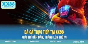 Đá gà trực tiếp tại XX88