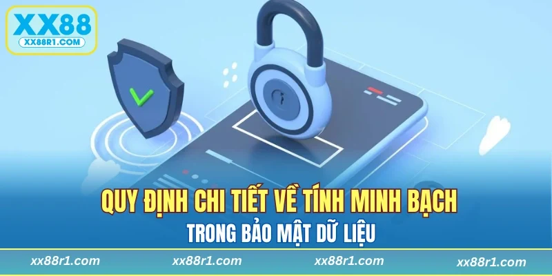 Quy định chi tiết về tính minh bạch trong bảo mật dữ liệu