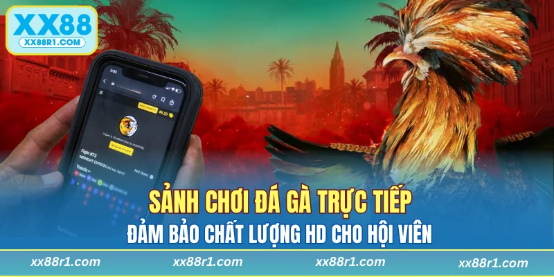 Sảnh chơi đảm bảo chất lượng HD cho hội viên