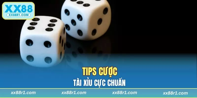 Tips cược tài xỉu cực chuẩn